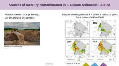 Assessment of Artisanal and Small-Scale Gold Mining Mercury Pollution in French Guiana Watersheds Using Hg Stable Isotopes